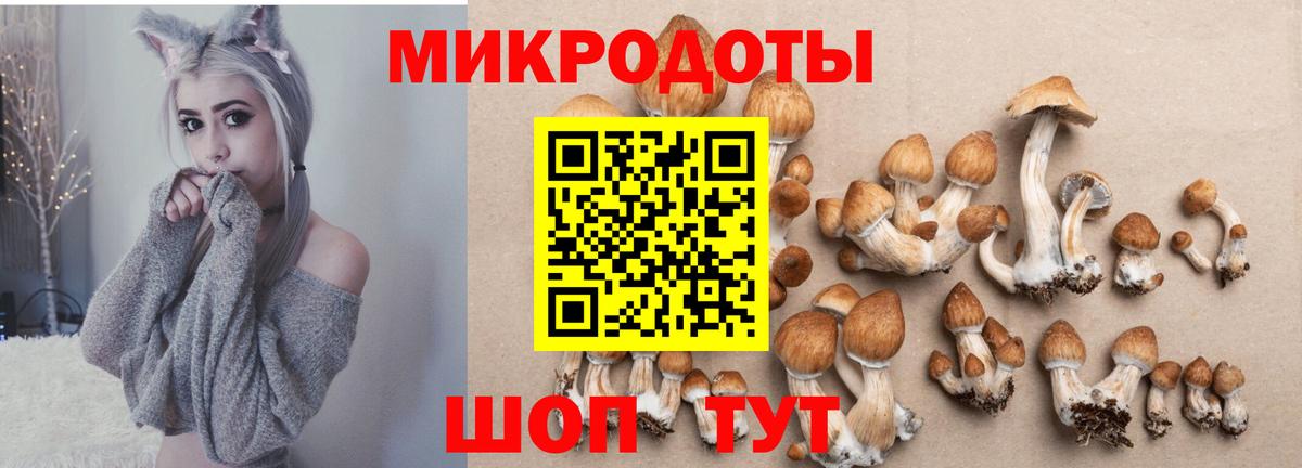 Ессентуки  Псилоцибиновые грибы GOLDEN TEACHER  даркнет сайт  Вход с VPN 